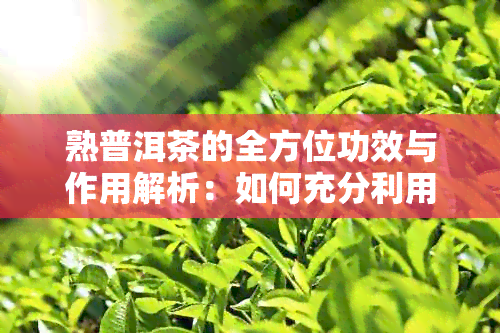 熟普洱茶的全方位功效与作用解析：如何充分利用这一珍贵茶叶？