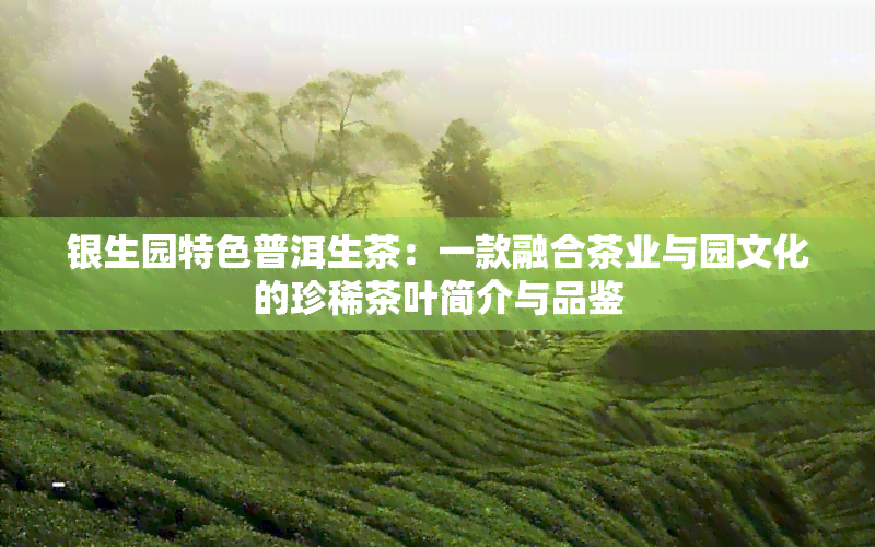 银生园特色普洱生茶：一款融合茶业与园文化的珍稀茶叶简介与品鉴