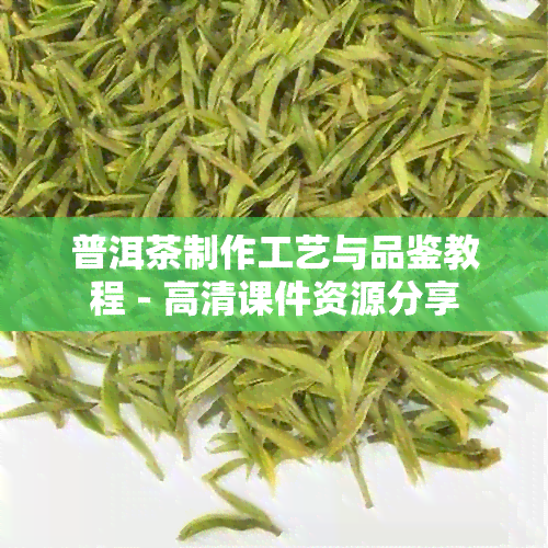 普洱茶制作工艺与品鉴教程 - 高清课件资源分享