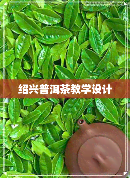 绍兴普洱茶教学设计