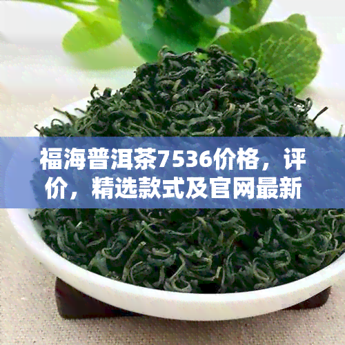 福海普洱茶7536价格，评价，精选款式及官网最新报价表