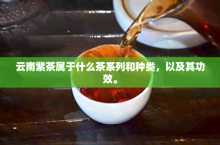 云南紫茶属于什么茶系列和种类，以及其功效。