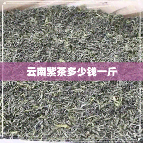 云南紫茶多少钱一斤