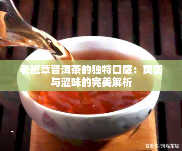 老班章普洱茶的独特口感：爽回与涩味的完美解析