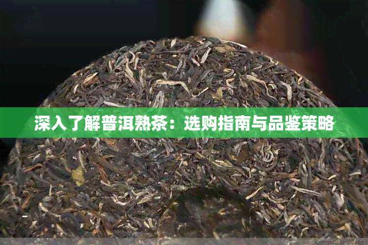 深入了解普洱熟茶：选购指南与品鉴策略