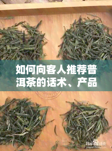 如何向客人推荐普洱茶的话术、产品和，以及推销熟普洱茶的方法