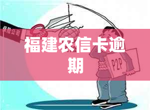 福建农信卡逾期