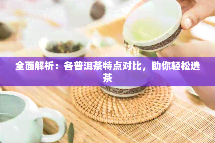 全面解析：各普洱茶特点对比，助你轻松选茶