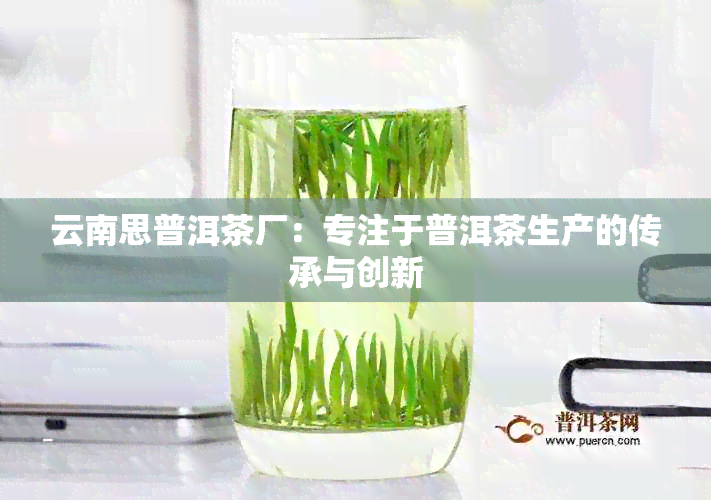 云南思普洱茶厂：专注于普洱茶生产的传承与创新