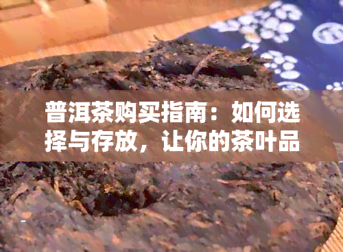 普洱茶购买指南：如何选择与存放，让你的茶叶品质更优