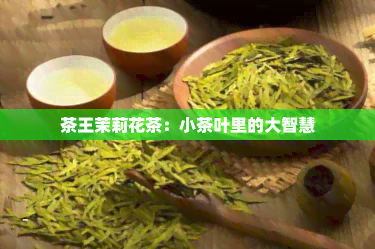 茶王茉莉花茶：小茶叶里的大智慧