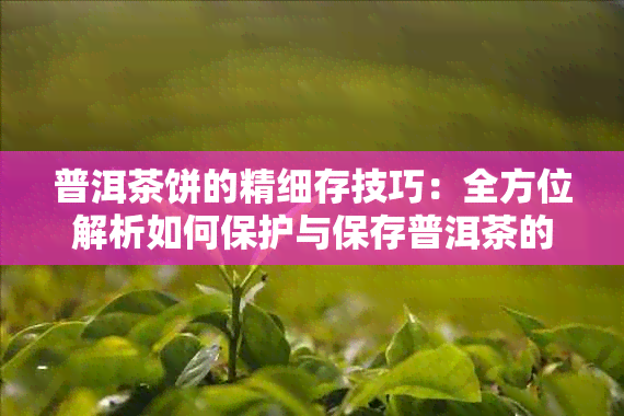 普洱茶饼的精细存技巧：全方位解析如何保护与保存普洱茶的品质