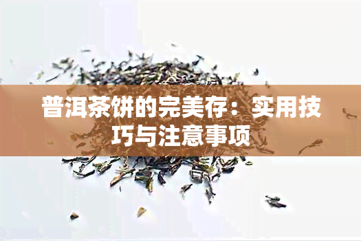 普洱茶饼的完美存：实用技巧与注意事项