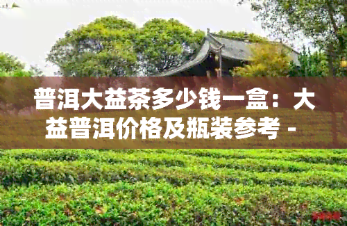 普洱大益茶多少钱一盒：大益普洱价格及瓶装参考 - 茶叶市场行情