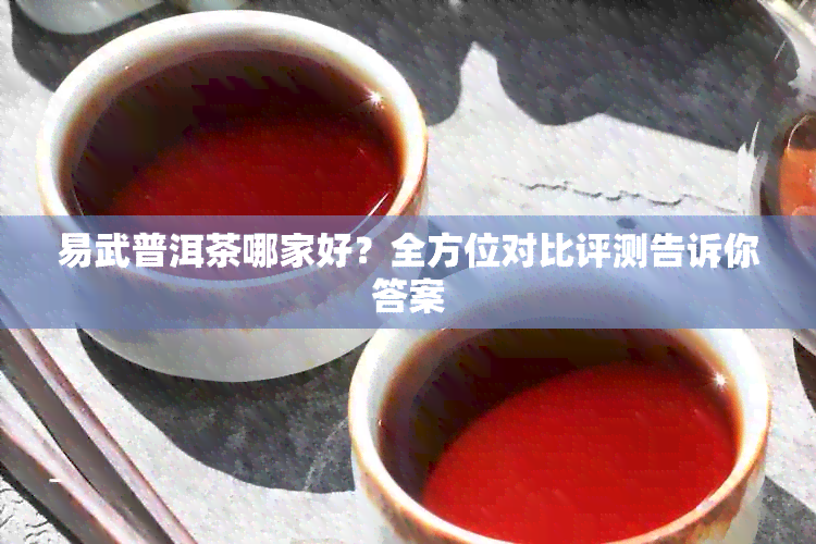 易武普洱茶哪家好？全方位对比评测告诉你答案