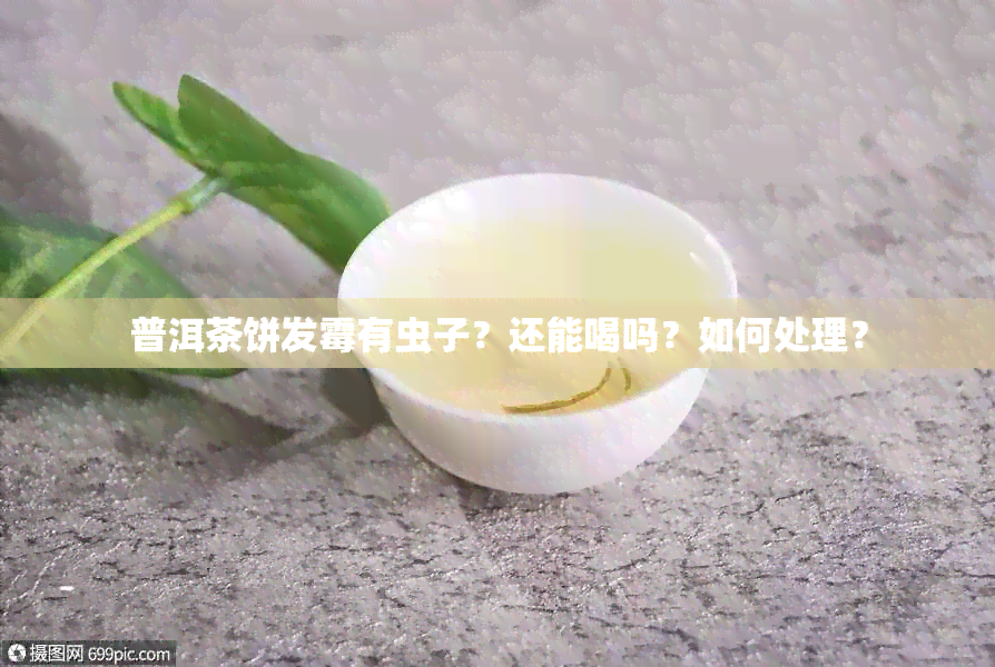 普洱茶饼发霉有虫子？还能喝吗？如何处理？