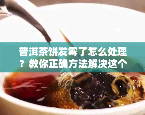 普洱茶饼发霉了怎么处理？教你正确方法解决这个问题！