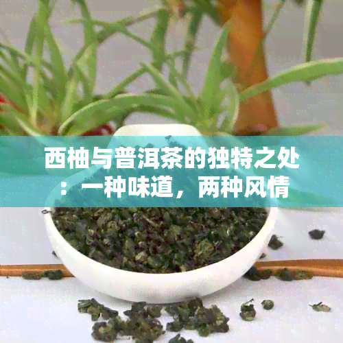 西柚与普洱茶的独特之处：一种味道，两种风情