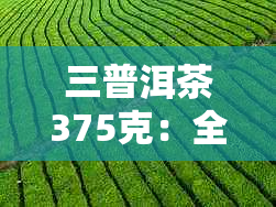 三普洱茶375克：全面了解价格、品质与口感，助您轻松挑选最适合的茶叶