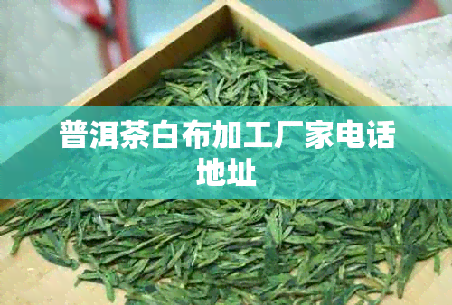 普洱茶白布加工厂家电话地址