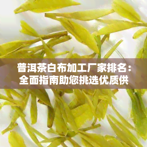 普洱茶白布加工厂家排名：全面指南助您挑选优质供应商及了解加工流程