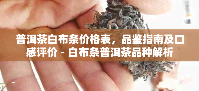 普洱茶白布条价格表，品鉴指南及口感评价 - 白布条普洱茶品种解析