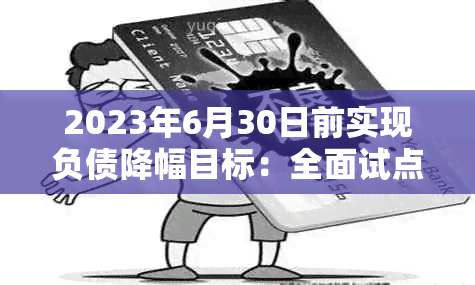 2023年6月30日前实现负债降幅目标：全面试点监管部门要求与策略分析