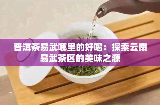 普洱茶易武哪里的好喝：探索云南易武茶区的美味之源