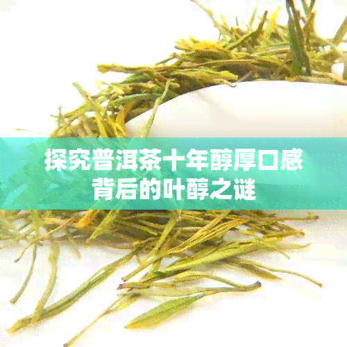 探究普洱茶十年醇厚口感背后的叶醇之谜