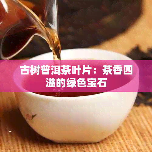 古树普洱茶叶片：茶香四溢的绿色宝石