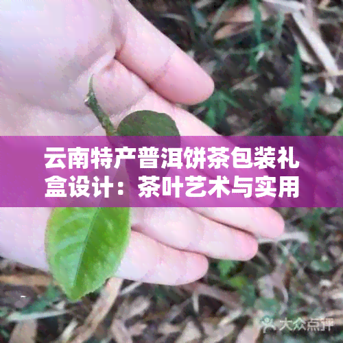 云南特产普洱饼茶包装礼盒设计：茶叶艺术与实用收纳的完美结合