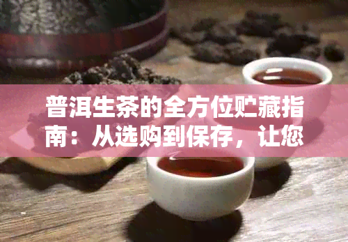 普洱生茶的全方位贮藏指南：从选购到保存，让您的茶叶保持品质