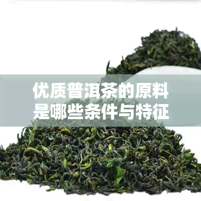 优质普洱茶的原料是哪些条件与特征