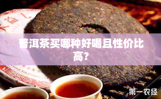 普洱茶买哪种好喝且性价比高？