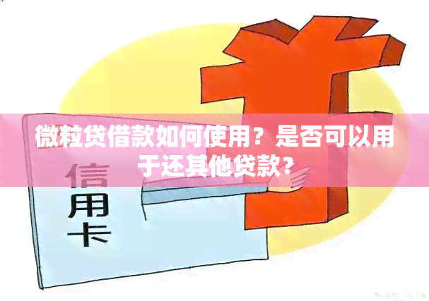 微粒贷借款如何使用？是否可以用于还其他贷款？