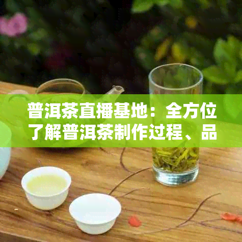 普洱茶直播基地：全方位了解普洱茶制作过程、品质与冲泡技巧的直播教育平台