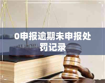 0申报逾期未申报处罚记录