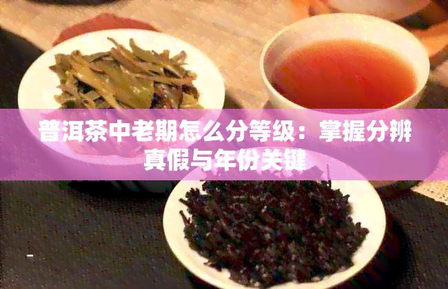 普洱茶中老期怎么分等级：掌握分辨真假与年份关键