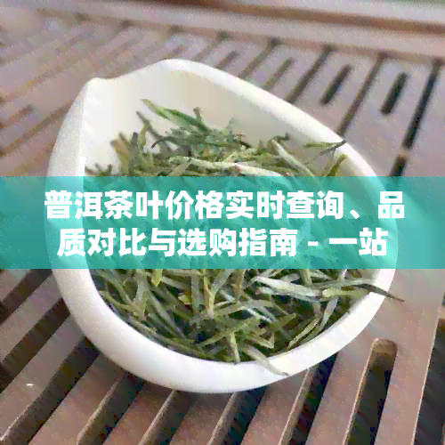 普洱茶叶价格实时查询、品质对比与选购指南 - 一站式了解普洱茶相关信息