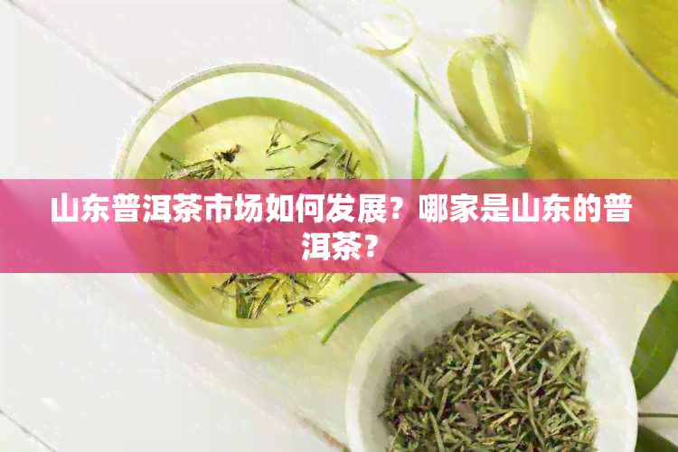 山东普洱茶市场如何发展？哪家是山东的普洱茶？