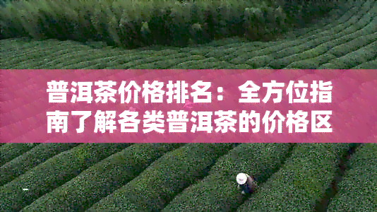 普洱茶价格排名：全方位指南了解各类普洱茶的价格区间与品质对比