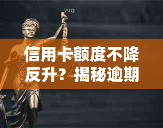 信用卡额度不降反升？揭秘逾期不还款背后的真相与可能影响