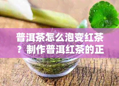 普洱茶怎么泡变红茶？制作普洱红茶的正确方法