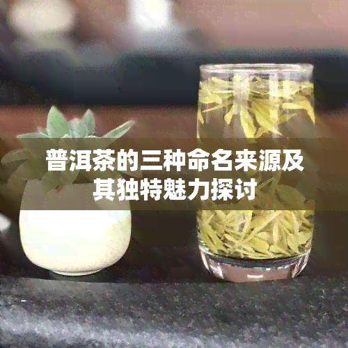 普洱茶的三种命名来源及其独特魅力探讨