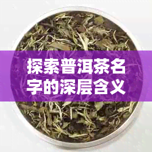 探索普洱茶名字的深层含义：源自古茶马道的历传承