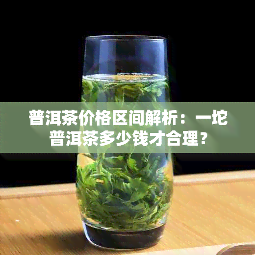 普洱茶价格区间解析：一坨普洱茶多少钱才合理？