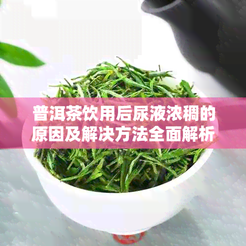 普洱茶饮用后尿液浓稠的原因及解决方法全面解析