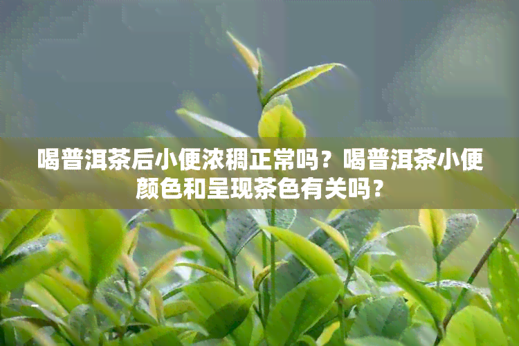 喝普洱茶后小便浓稠正常吗？喝普洱茶小便颜色和呈现茶色有关吗？