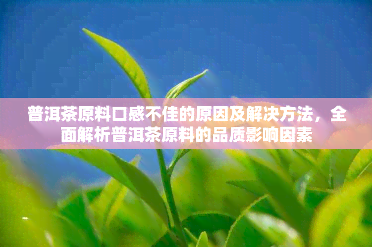 普洱茶原料口感不佳的原因及解决方法，全面解析普洱茶原料的品质影响因素