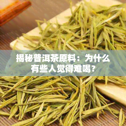 揭秘普洱茶原料：为什么有些人觉得难喝？